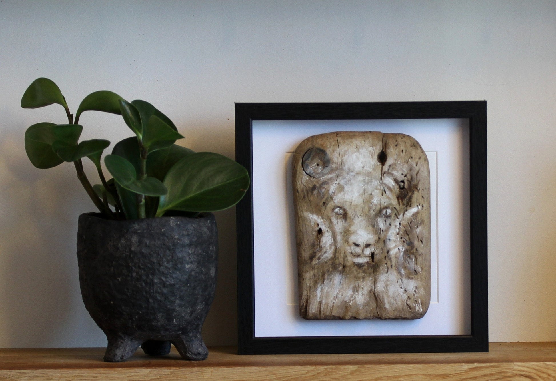 Icelandic ram.Acrylic painting on driftwood in a black frame.